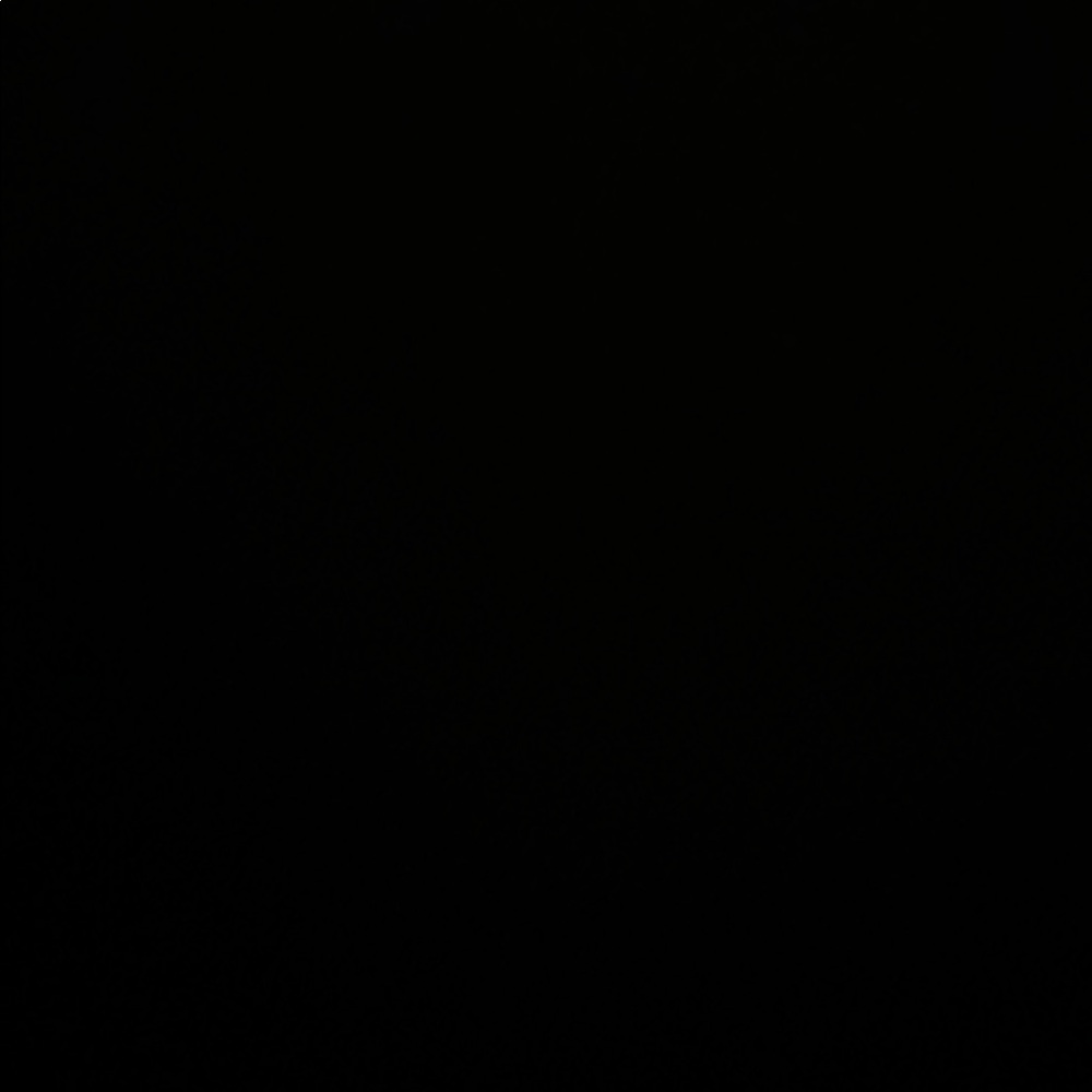 Preston & York Dark Brown Fringe Shawl - Picture 4 of 9